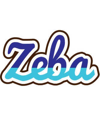 Zeba raining logo