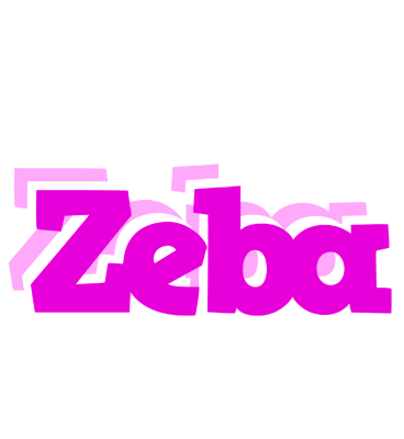 Zeba rumba logo