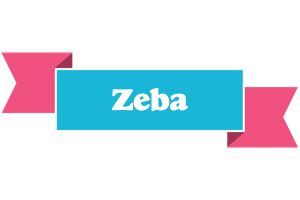 Zeba today logo
