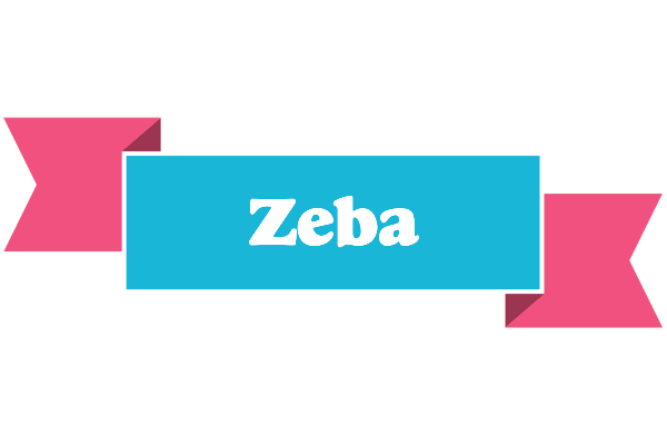 Zeba today logo