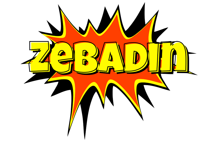 Zebadin bazinga logo