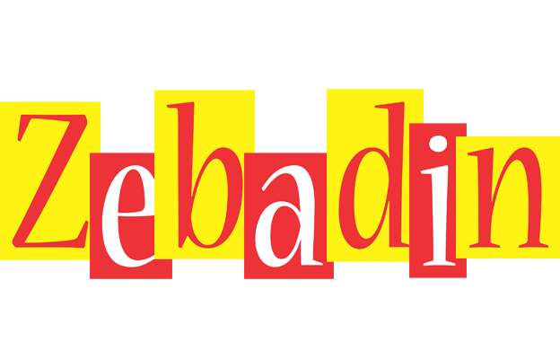 Zebadin errors logo