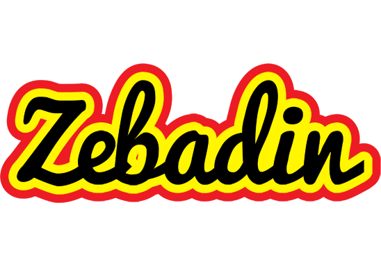 Zebadin flaming logo