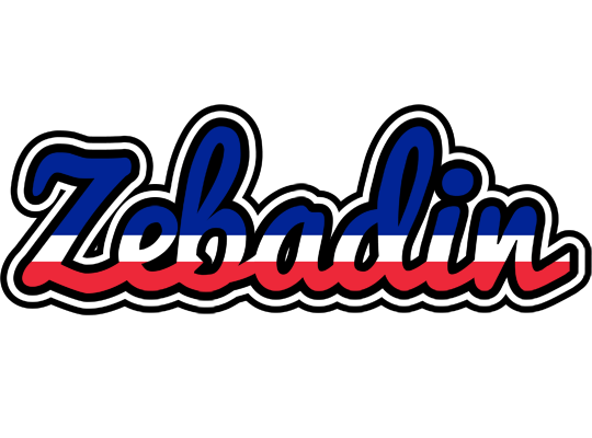Zebadin france logo