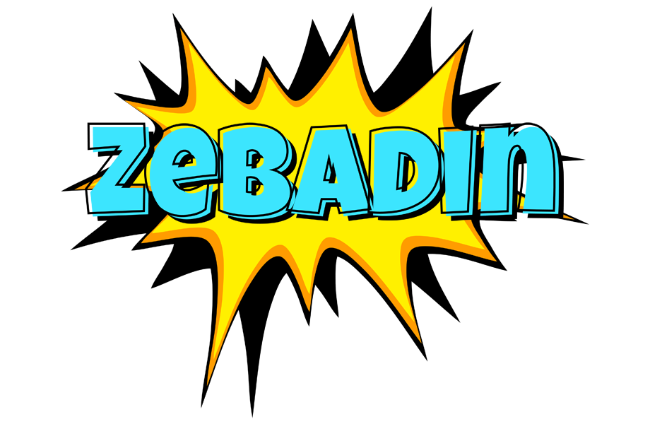 Zebadin indycar logo