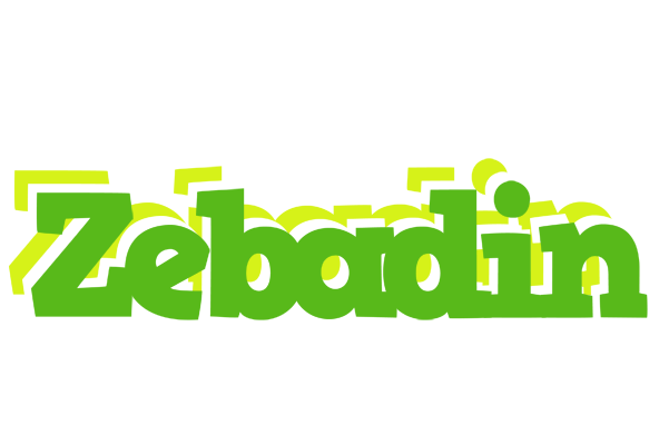 Zebadin picnic logo