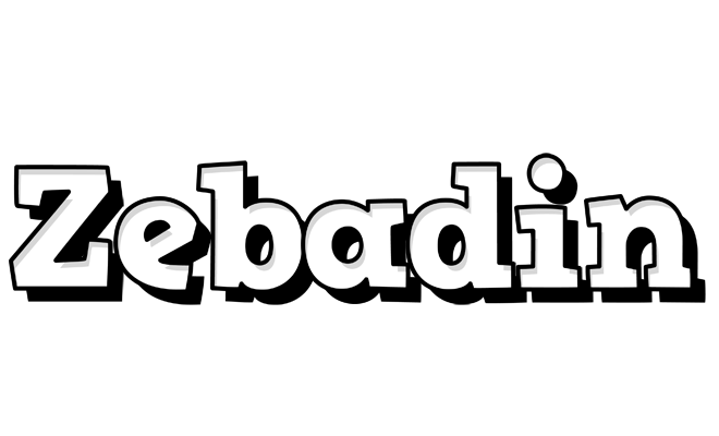 Zebadin snowing logo