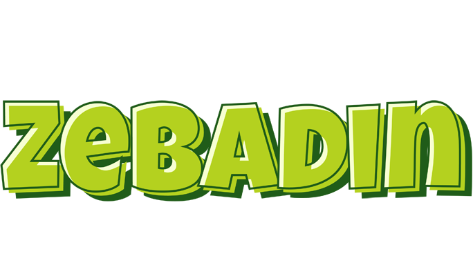 Zebadin summer logo