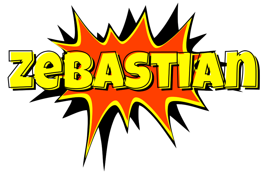 Zebastian bazinga logo