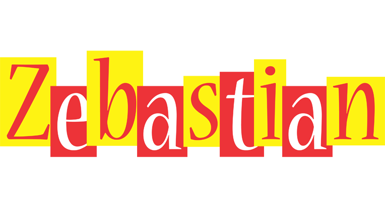 Zebastian errors logo
