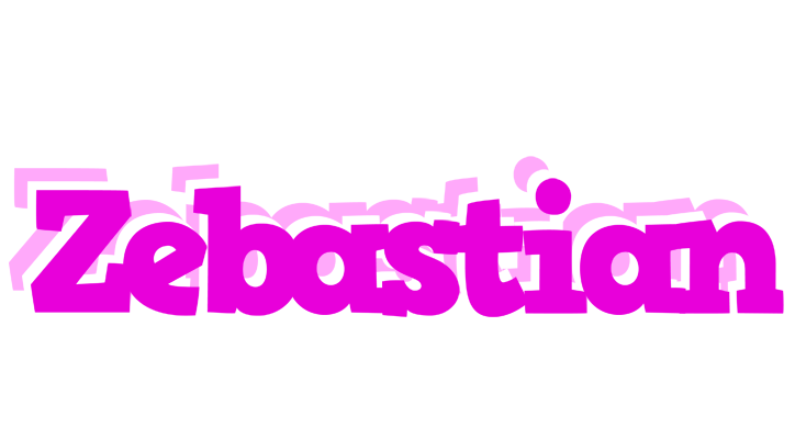 Zebastian rumba logo