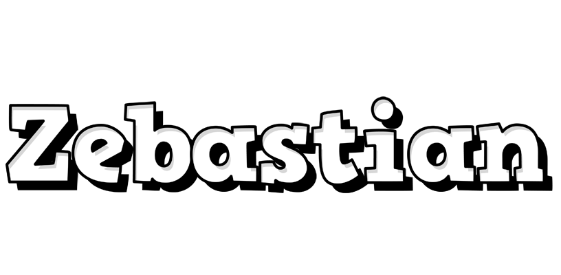Zebastian snowing logo