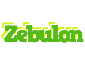 Zebulon picnic logo