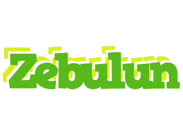 Zebulun picnic logo