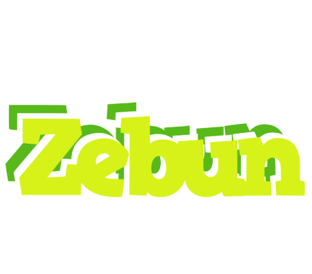 Zebun citrus logo