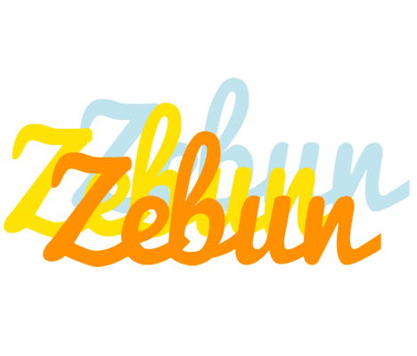 Zebun energy logo