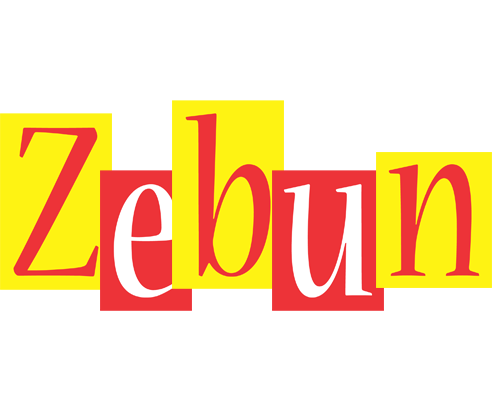 Zebun errors logo