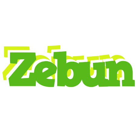 Zebun picnic logo