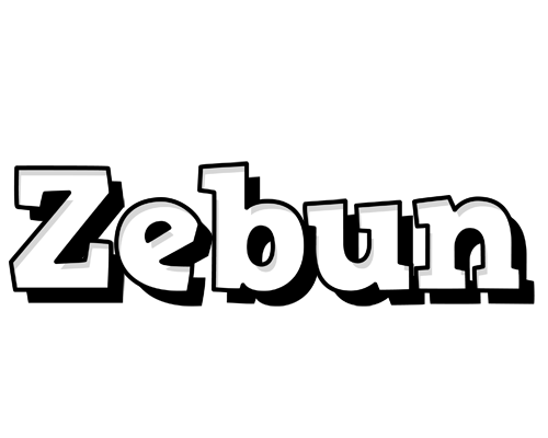 Zebun snowing logo