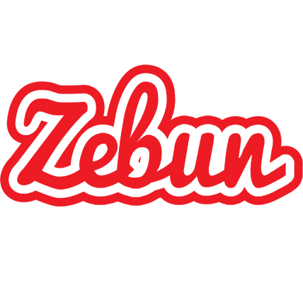 Zebun sunshine logo