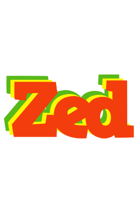 Zed bbq logo