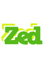 Zed picnic logo