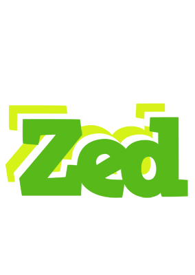 Zed picnic logo