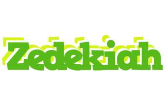 Zedekiah picnic logo