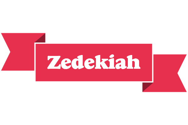 Zedekiah sale logo