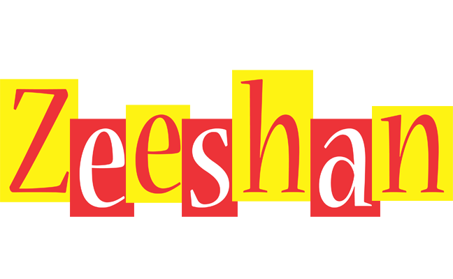 Zeeshan errors logo