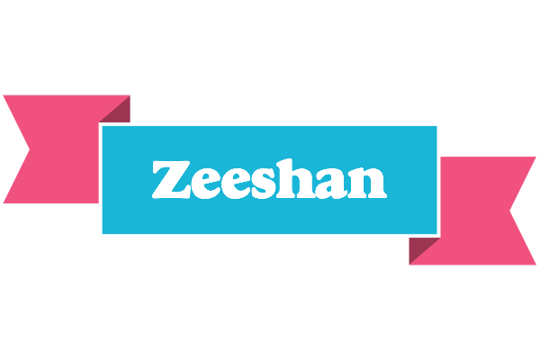 Zeeshan today logo