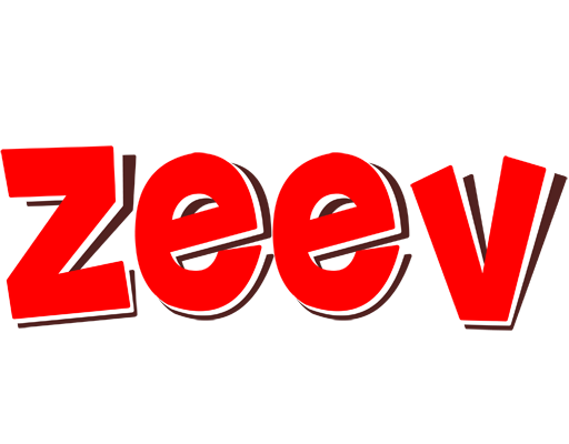 Zeev basket logo