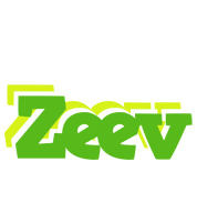 Zeev picnic logo