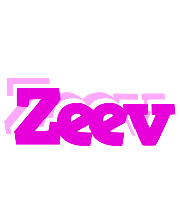 Zeev rumba logo