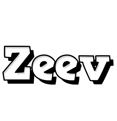 Zeev snowing logo