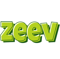 Zeev summer logo