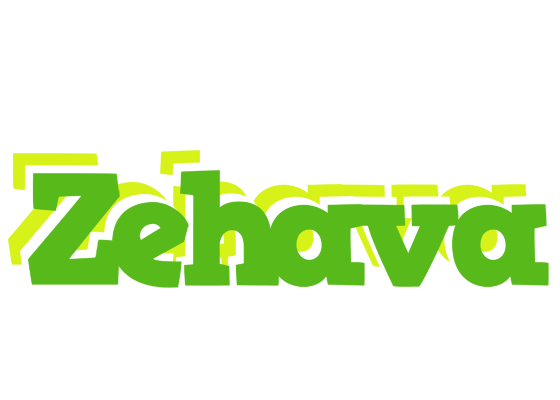 Zehava picnic logo