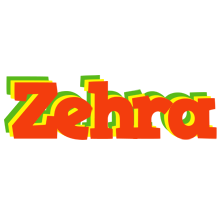 Zehra bbq logo