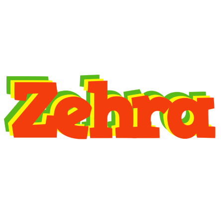 Zehra bbq logo