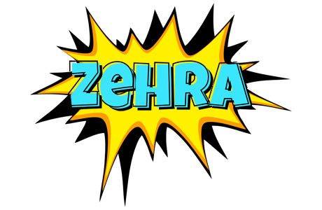 Zehra indycar logo