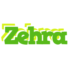 Zehra picnic logo