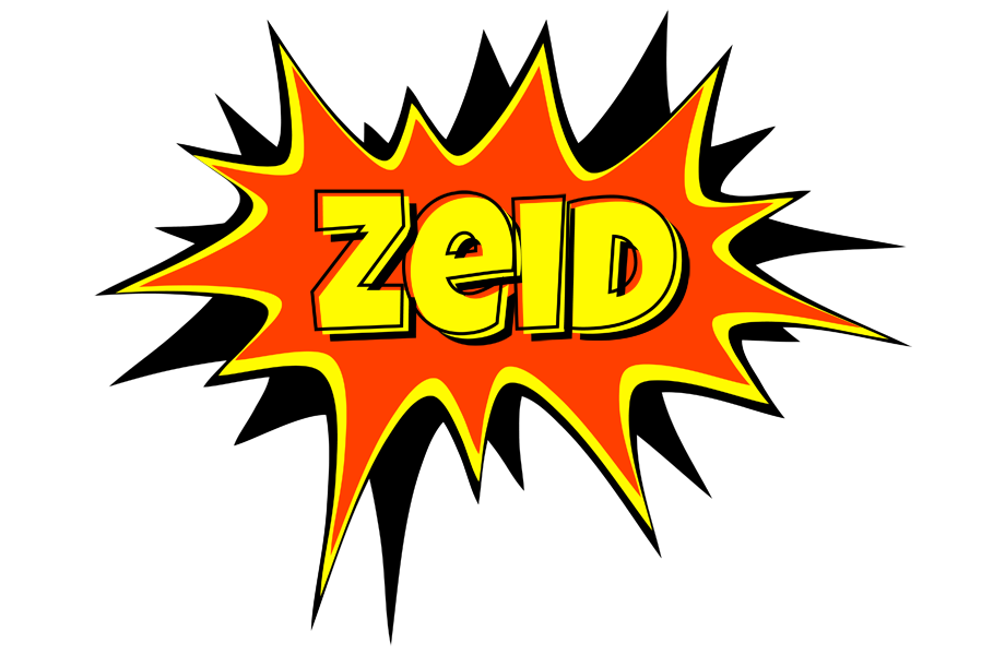 Zeid bazinga logo
