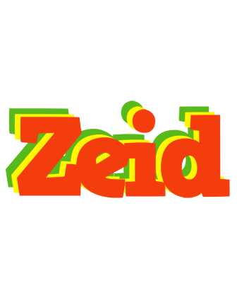 Zeid bbq logo