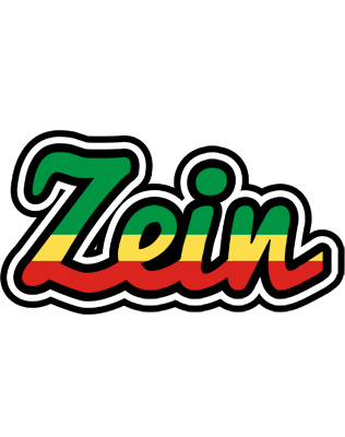 Zein african logo