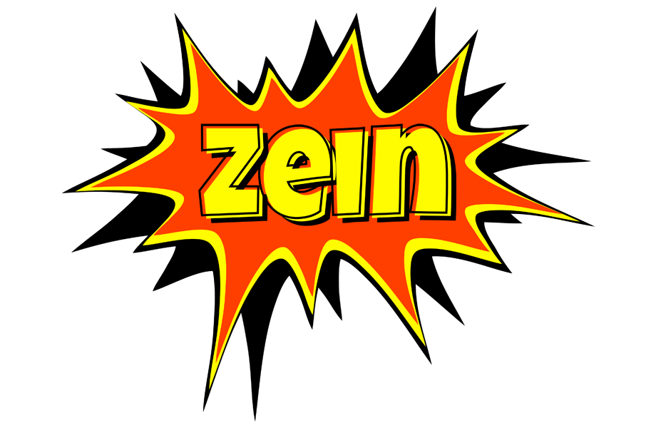 Zein bazinga logo