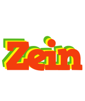 Zein bbq logo