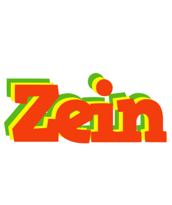 Zein bbq logo