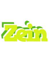 Zein citrus logo