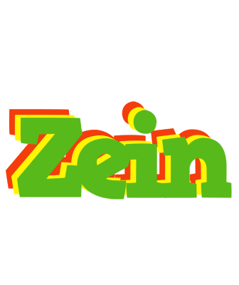 Zein crocodile logo