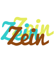 Zein cupcake logo